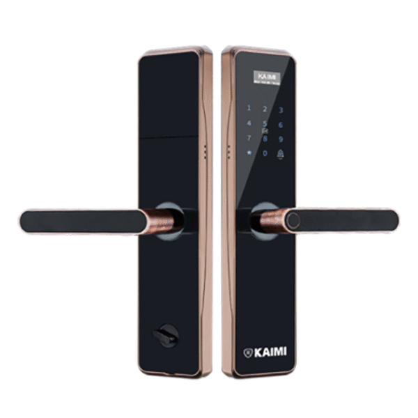 Khóa Vân Tay Bán Tự Động BTM101