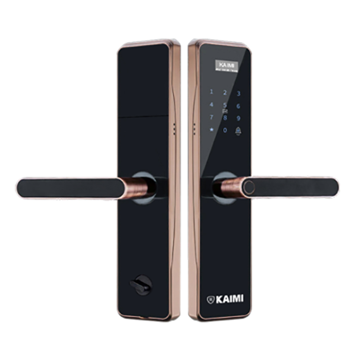 Khóa Vân Tay Bán Tự Động BTM101
