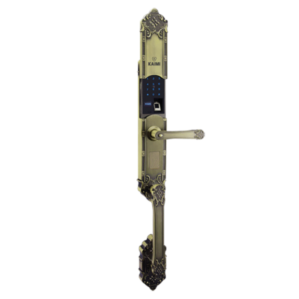 Khóa Vân Tay Đại Sảnh DS101 Rêu