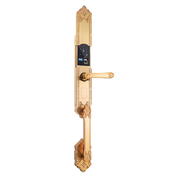 Khóa Vân Tay Đại Sảnh DS101 Vàng